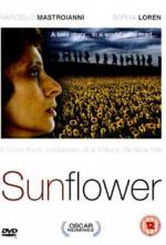 Watch Sunflower Myflixer