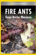 Watch National Geographic Fire Ants: Texas Border Massacre Myflixer