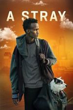 Watch A Stray Myflixer
