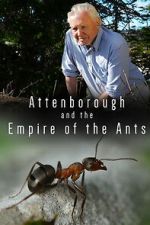 Watch Attenborough and the Empire of the Ants Myflixer