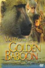 Watch National Geographic Golden Baboons Myflixer
