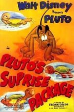 Watch Pluto\'s Surprise Package Myflixer