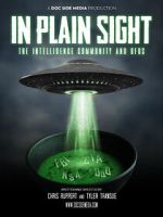 Watch In Plain Sight: The Intelligence Community and UFOs Myflixer