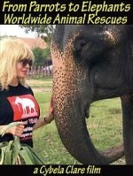 Watch From Parrots to Elephants: Worldwide Animal Rescues Myflixer