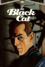 Watch The Black Cat Myflixer