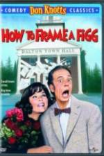 Watch How to Frame a Figg Myflixer