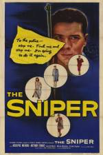 Watch The Sniper Myflixer
