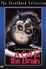 Watch Un gatto nel cervello Myflixer