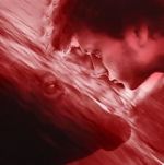 Watch We All Poop: All the Blood Myflixer