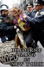 Watch NYPD: Biggest Gang in New York? Myflixer