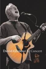 Watch David Gilmour in Concert - Live at Robert Wyatt's Meltdown Myflixer