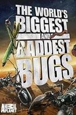 Watch Worlds Biggest and Baddest Bugs Myflixer