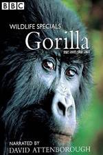 Watch Gorilla Revisited with David Attenborough Myflixer