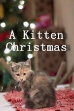 Watch A Kitten Christmas Myflixer