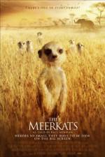 Watch The Meerkats Myflixer