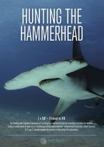 Watch Hunting the Hammerhead Myflixer
