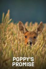 Watch Poppy\'s Promise: Secret Life in a Cornfield Myflixer