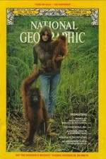 Watch Search for the Great Apes Myflixer