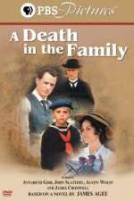 Watch A Death in the Family Myflixer