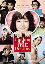 Watch Finding Mr. Destiny Myflixer