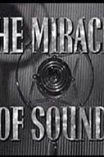 Watch The Miracle of Sound Myflixer