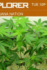 Watch Marijuana Nation Myflixer