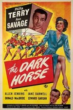 Watch The Dark Horse Myflixer