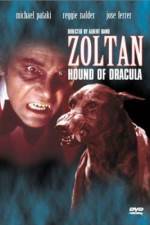 Watch Dracula's Dog Myflixer