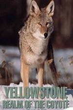 Watch Yellowstone: Realm of the Coyote Myflixer
