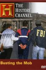 Watch The History Channel: Busting the Mob Myflixer