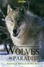 Watch Wolves in Paradise Myflixer