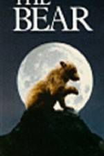 Watch The Bear - (L'ours) Myflixer