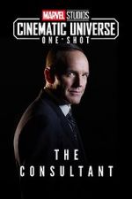Watch Marvel One-Shot: The Consultant Myflixer