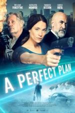 Watch A Perfect Plan Myflixer