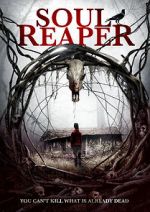 Watch Soul Reaper Myflixer