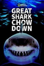 Watch Great Shark Chow Down Myflixer