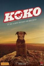 Watch Koko: A Red Dog Story Myflixer