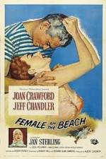 Watch Female on the Beach Myflixer
