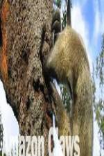 Watch National Geographic Wild Amazon Claws Myflixer