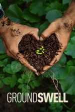 Watch Groundswell Myflixer