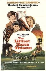Watch The Littlest Horse Thieves Myflixer