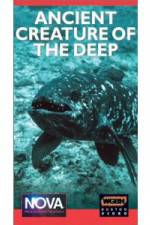 Watch Ancient Creature Of The Deep Myflixer
