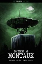 Watch Incident at Montauk Myflixer
