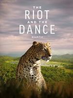 Watch The Riot and the Dance Myflixer
