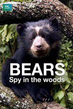 Watch Bears: Spy in the Woods Myflixer