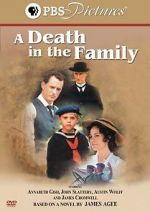 Watch A Death in the Family Myflixer