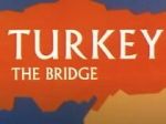 Watch Turkey the Bridge (Short 1966) Myflixer