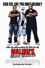 Watch Malibu's Most Wanted Myflixer