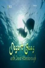 Watch National Geographic Desert Seas Myflixer