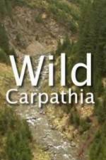 Watch Wild Carpathia Myflixer